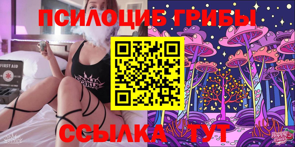 Печора  Галлюциногенные грибы Psilocybe  Вход с VPN 