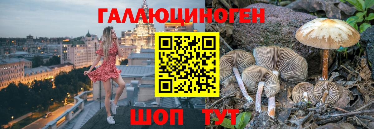 Псилоцибиновые грибы ЛСД Печора